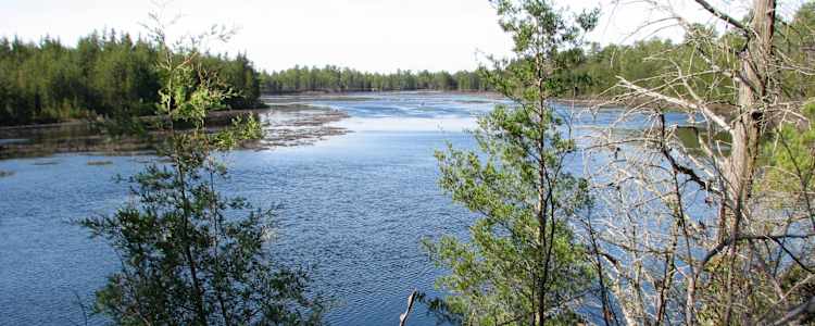 Atsion Lake Cabins Pictures