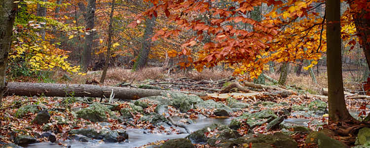 Best Camping In And Near Cunningham Falls State Park