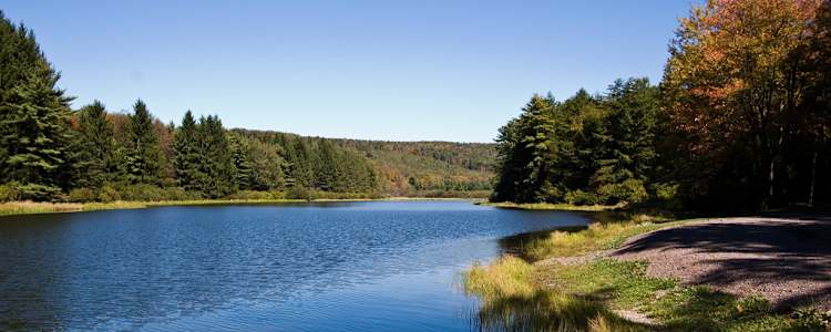 Best Camping In And Near New Germany State Park