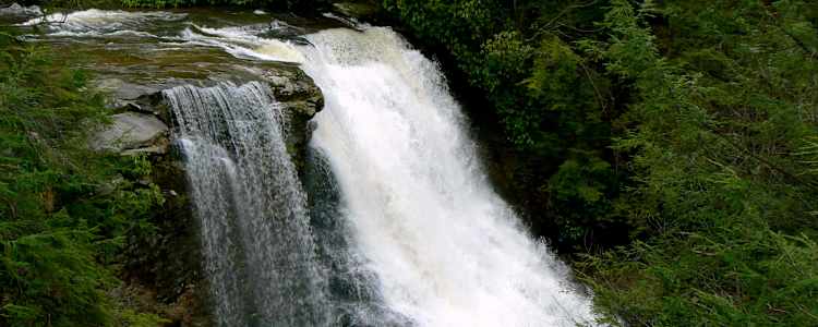 20 Best Camping Spots Around Swallow Falls State Park