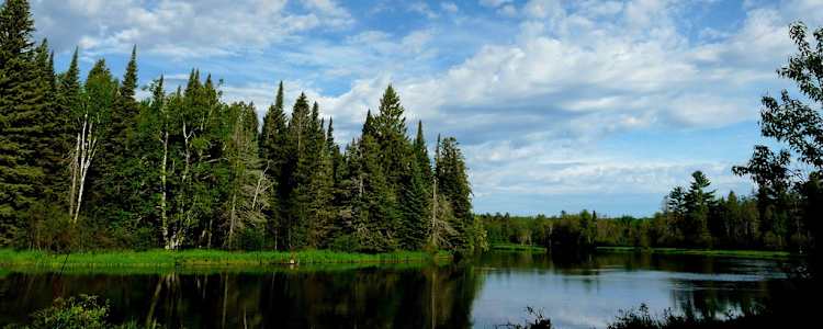 Manistee National Forest Cabins - cabin