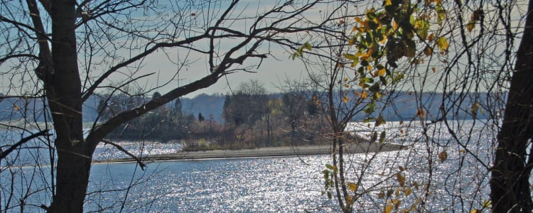 Best Camping In And Near East Fork State Park