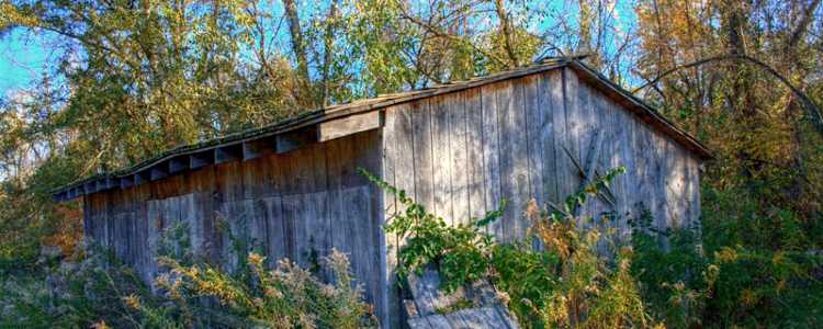 Best Camping In And Near Paint Creek State Park