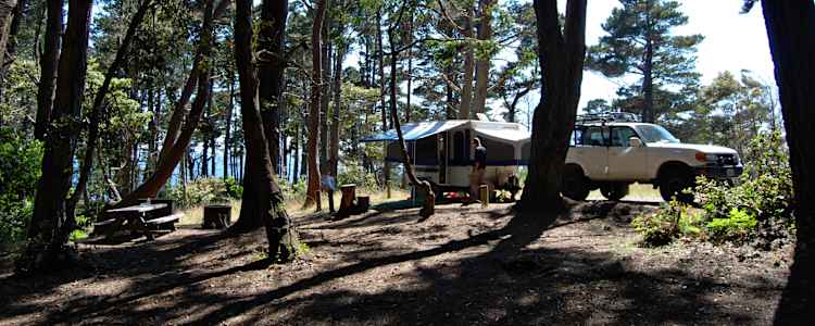 Best Camping In And Near Salt Point State Park