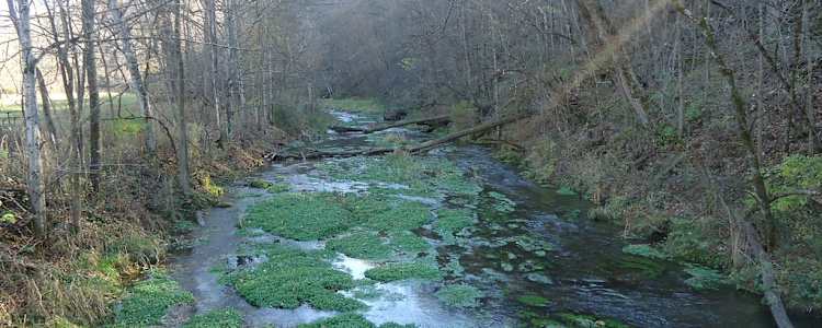 Best Camping In And Near Beaver Creek Valley State Park