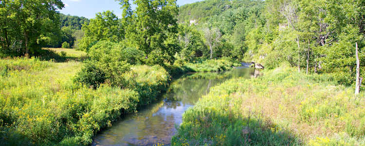 Best Camping In And Near Whitewater State Park Mn