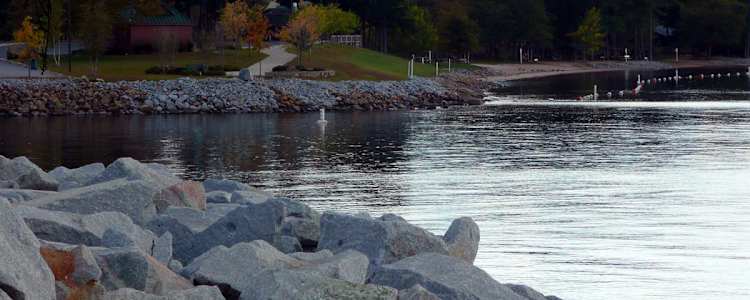 Best Camping In And Near Dreher Island State Park