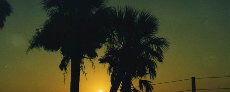 Best Camping In And Near Edisto Beach State Park