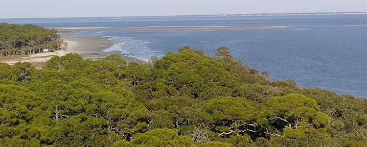 Best Camping In And Near Hunting Island State Park