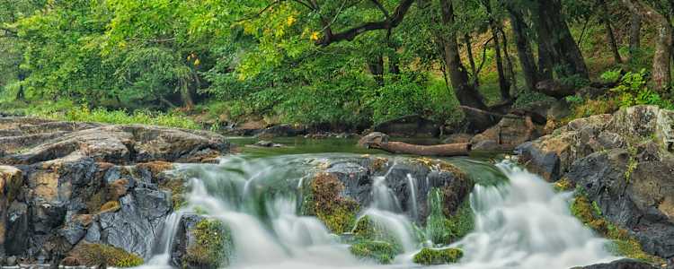 Best Camping In And Near Eno River State Park