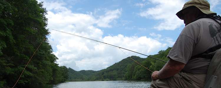 Best Camping In And Near Hungry Mother State Park
