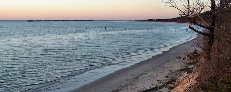 Best Camping In And Near Kiptopeke State Park