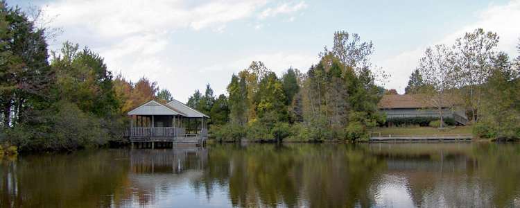 Best Camping In And Near Lake Anna State Park