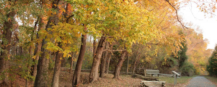 Best Camping In And Near Staunton River State Park