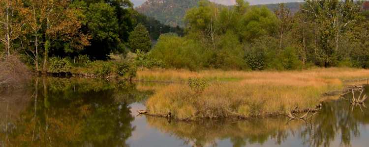 Best Camping In And Near Cumberland Mountain State Park