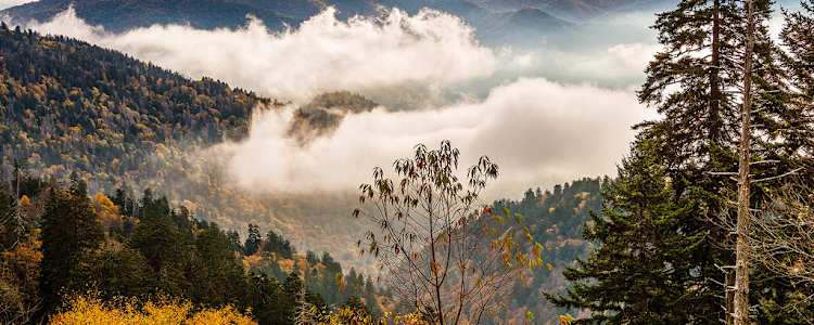 Best Camping In And Near Great Smoky Mountains National Park