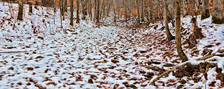 Best Camping In And Near Mammoth Cave National Park