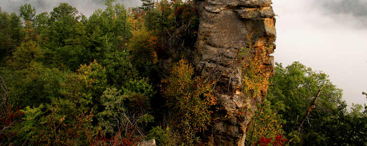 Best Camping In And Near Natural Bridge State Resort Park