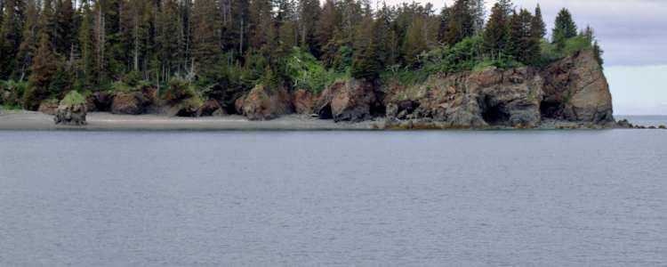 Best Camping In And Near Kachemak Bay State Park And State