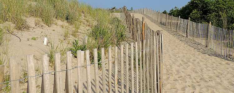 Best Camping In And Near Cape Henlopen State Park