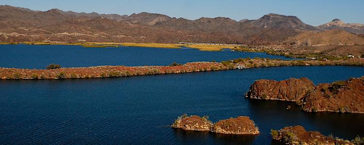 Best Camping In And Near Lake Havasu State Park
