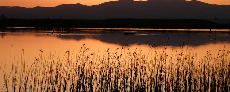Best Camping In And Near Roper Lake State Park