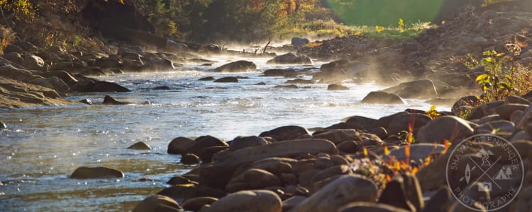 20 Best Campsites In And Near World S End State Park