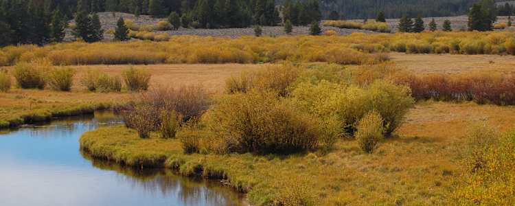 Best Camping In And Near Beaverhead Deerlodge National Forest