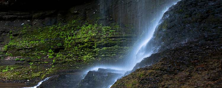 Best Camping In And Near Cloudland Canyon State Park