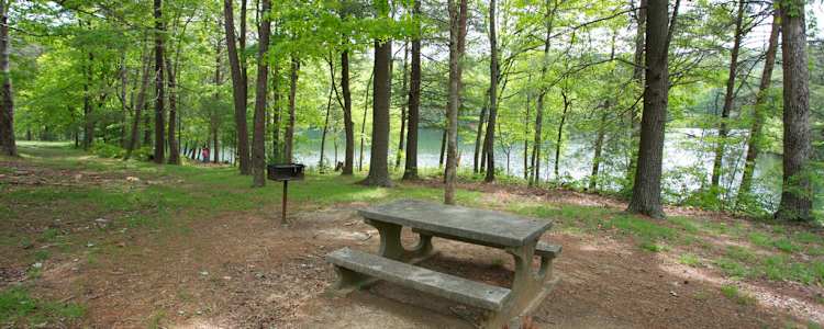 Best Camping In And Near Fort Mountain State Park