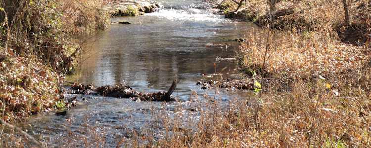 Best Camping In And Near Chickasaw National Recreation Area