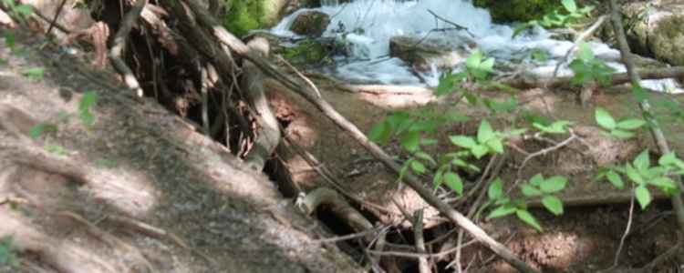 Best Camping In And Near Roman Nose State Park