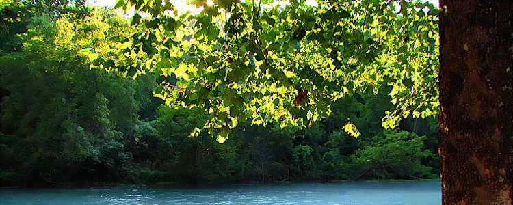 Best Camping In And Near Bennett Spring State Park