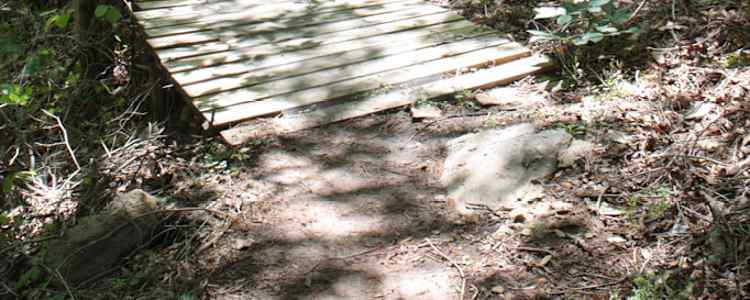 Best Camping In And Near Chewacla State Park