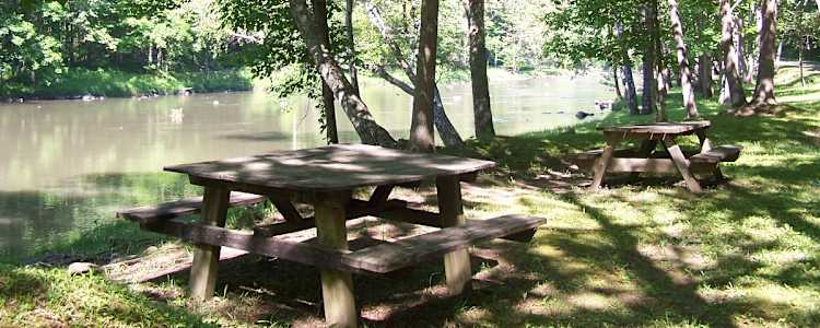 Best Camping In And Near Bluestone State Park