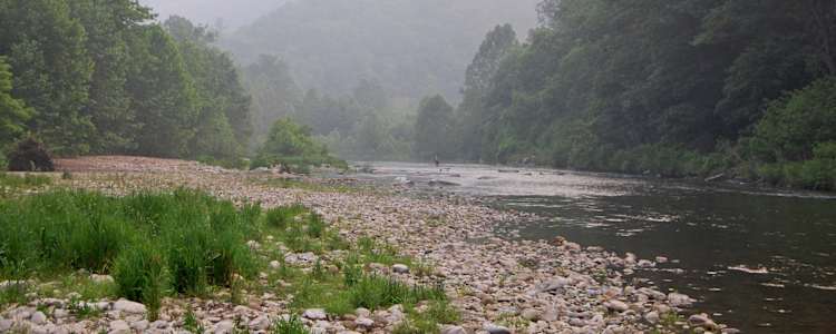 Best Camping In And Near Monongahela National Forest