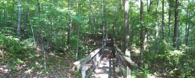 Best Camping In And Near Tygart Lake State Park