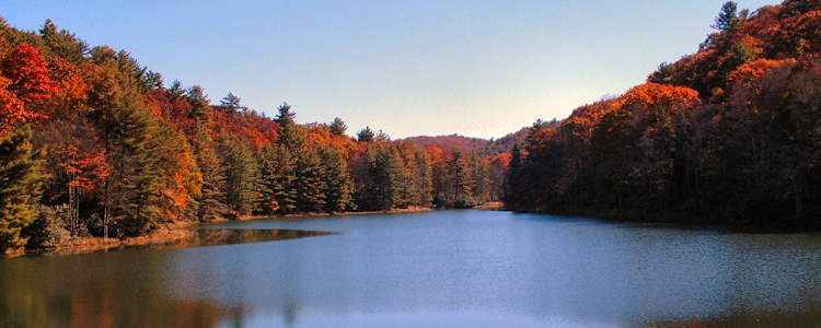 Best Camping In And Near Watoga State Park
