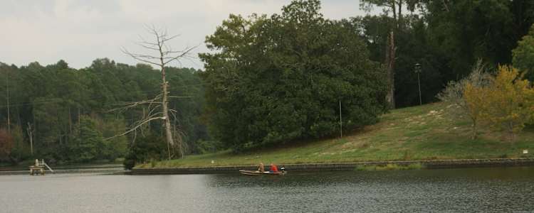 Best Camping In And Near Hodges Gardens State Park