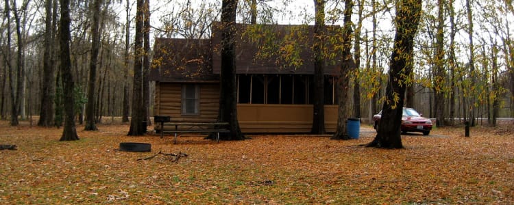 Best Camping In And Near Leroy Percy State Park