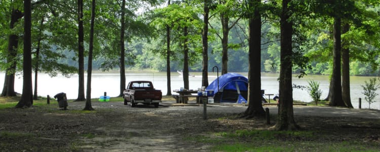 Best Camping In And Near Sardis Lake