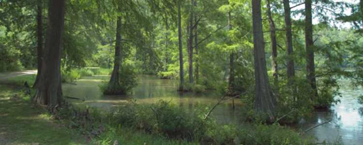 Best Camping In And Near Wall Doxey State Park