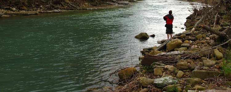 Best Camping In And Near Buffalo National River