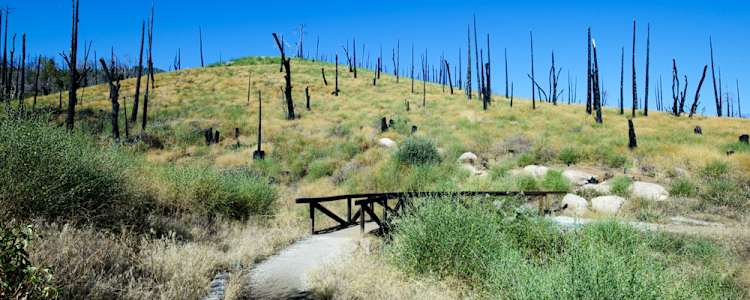 Best Camping In And Near Cuyamaca Rancho State Park