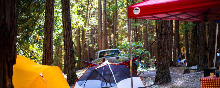 Best Camping In And Near Sequoia National Forest