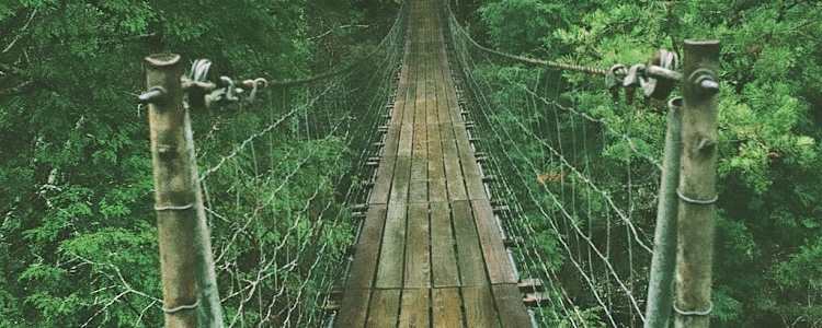 Best Camping In And Near Fall Creek Falls State Park