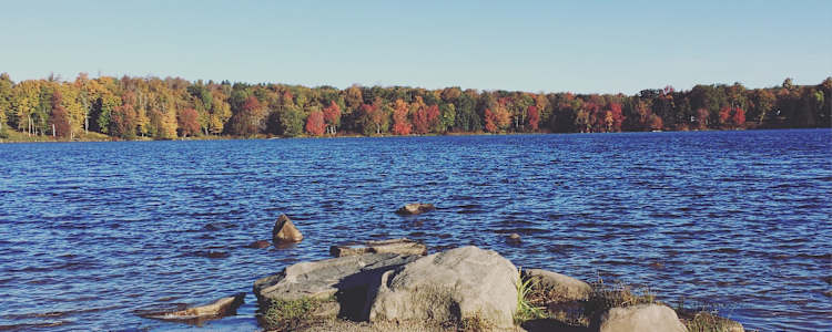 20 Best Camping Spots Around Promised Land State Park