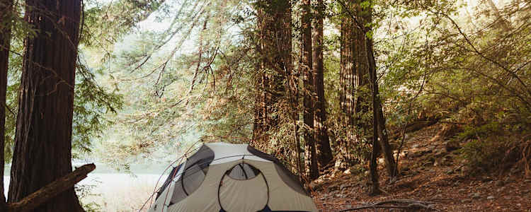 Best Camping In And Near Jedediah Smith Redwoods State Park