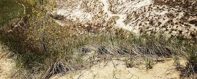 Best Camping In And Near Warren Dunes State Park