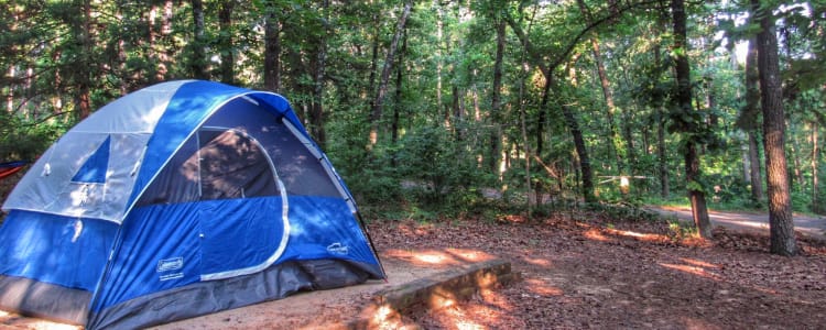 Best Camping In And Near Tyler State Park